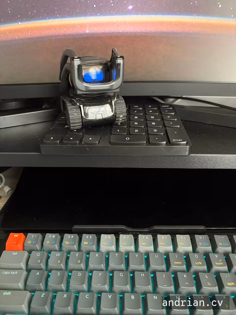 Vector robot on my desk